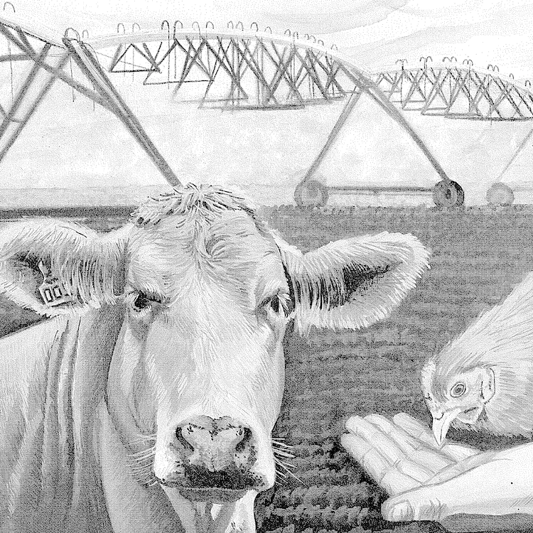 High school students draw Georgia agriculture for GFB Art Contest